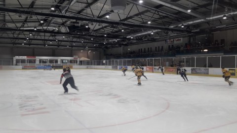 Stuttgart Rebels - Mad Dogs Mannheim