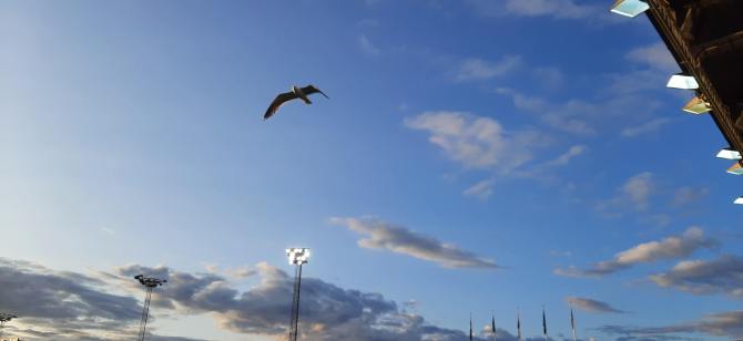 Стрьомсгодсет Драммен – Русенборг&nbsp;Тронхейм